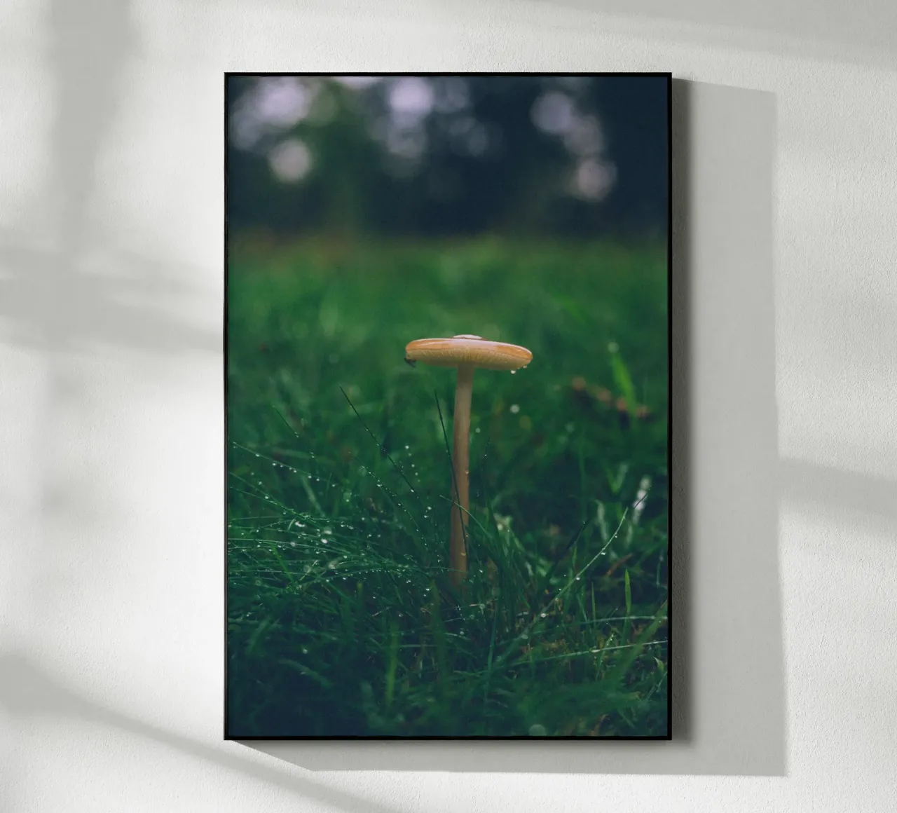 Funghi in autunno | Stile forchetta | Colori scuri e lunatici plexiglass da Bold and Retro