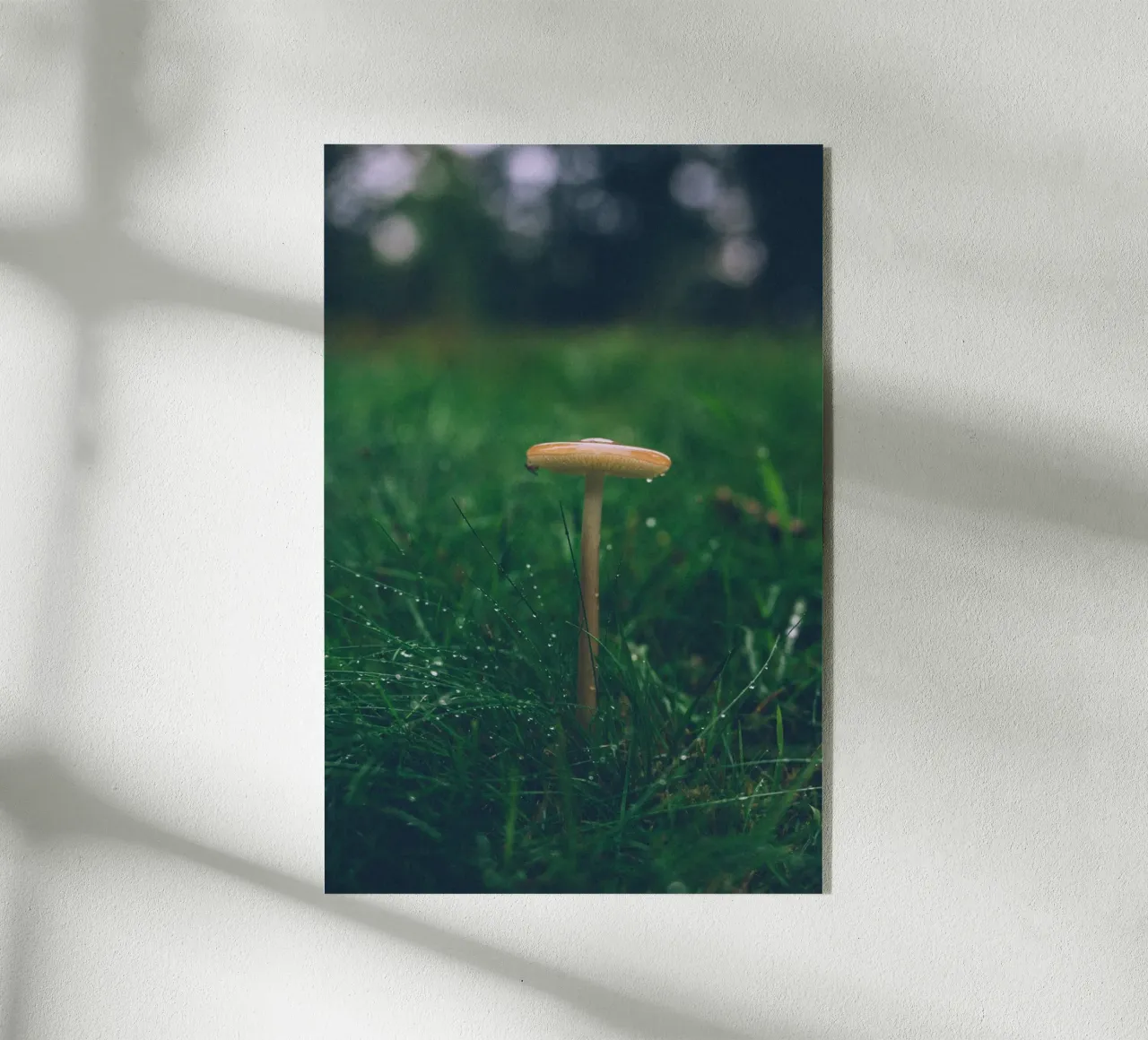 Funghi in autunno | Stile forchetta | Colori scuri e lunatici plexiglass da Bold and Retro