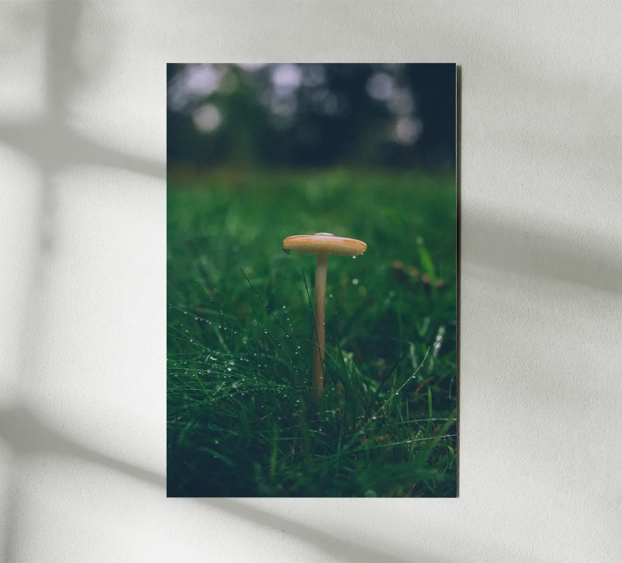 Funghi in autunno | Stile forchetta | Colori scuri e lunatici alluminio dibond da Bold and Retro