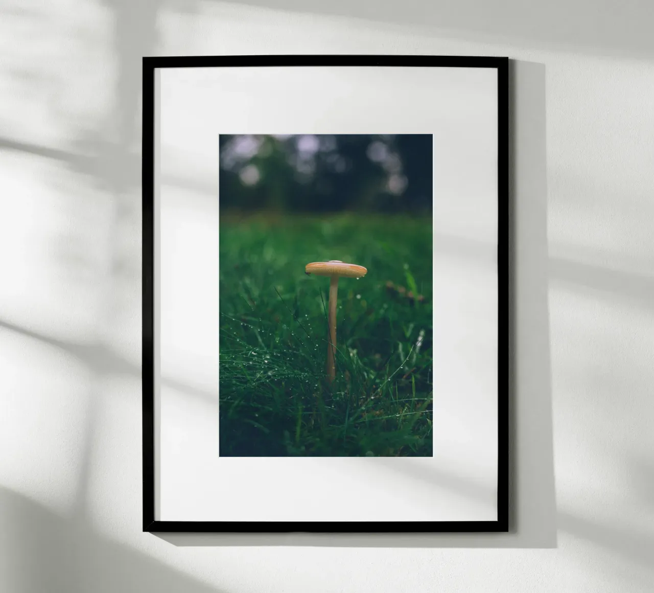 Funghi in autunno | Stile forchetta | Colori scuri e lunatici carta hahnemühle da Bold and Retro