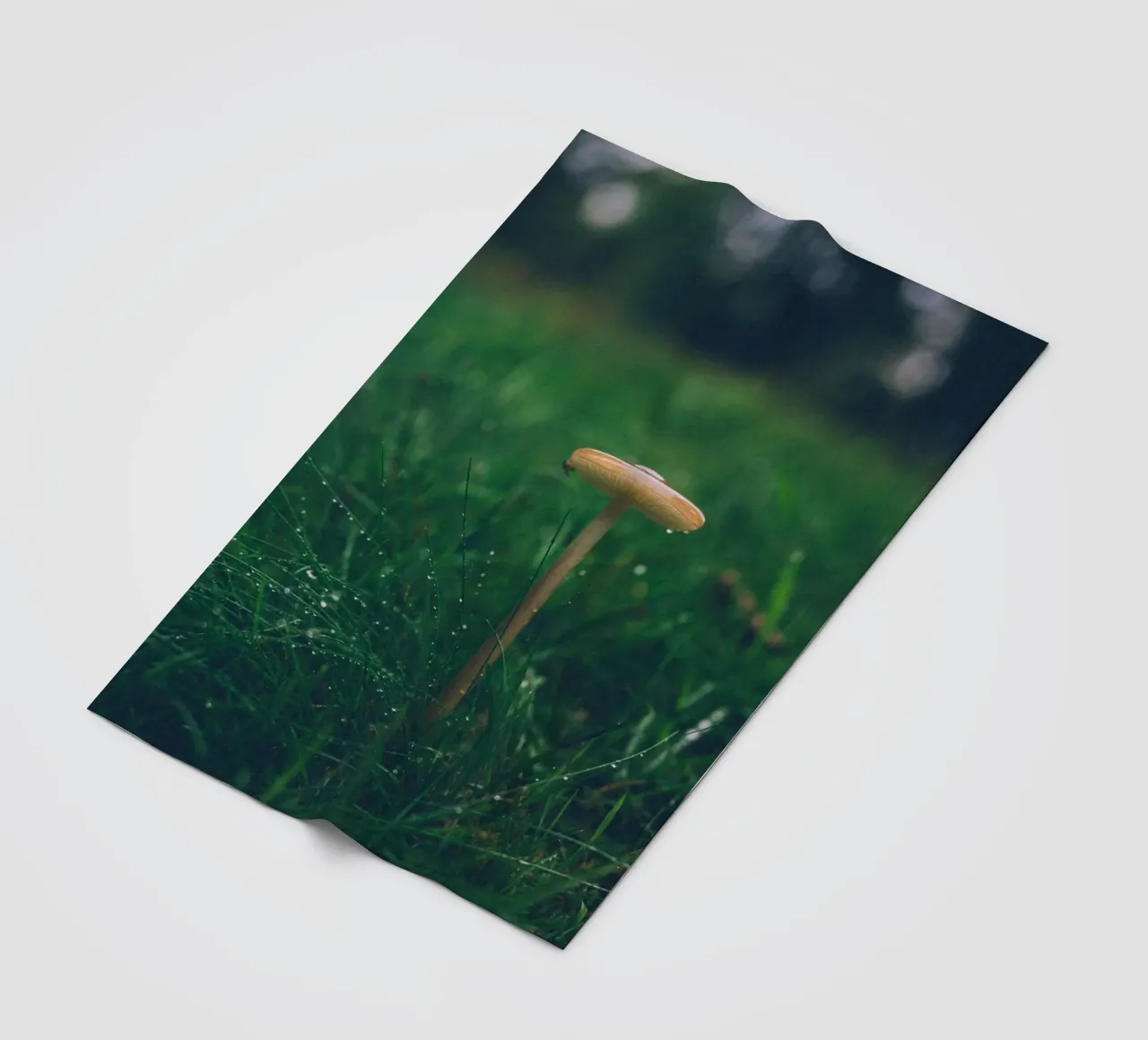 Funghi in autunno | Stile forchetta | Colori scuri e lunatici coperta in pile da Bold and Retro