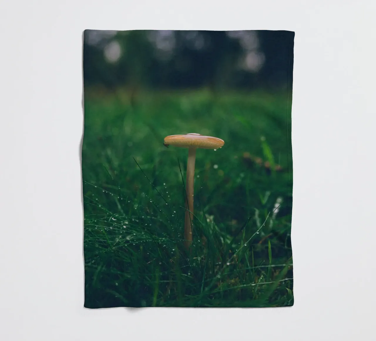Funghi in autunno | Stile forchetta | Colori scuri e lunatici coperta in pile da Bold and Retro