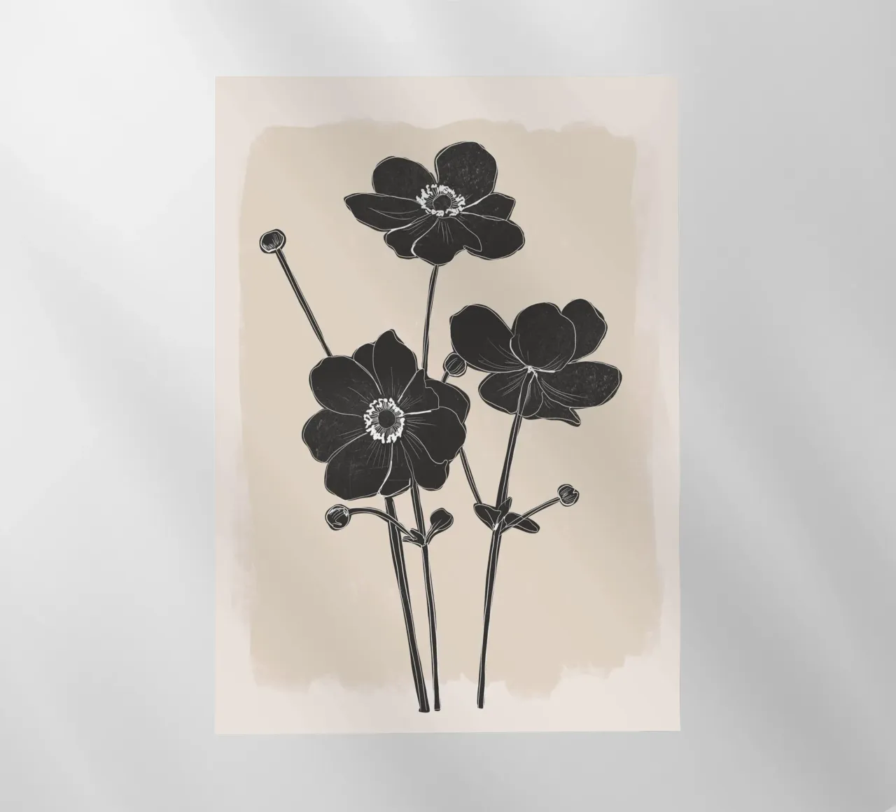 Fiori in bianco e nero pellicola backlit da ThingDesign