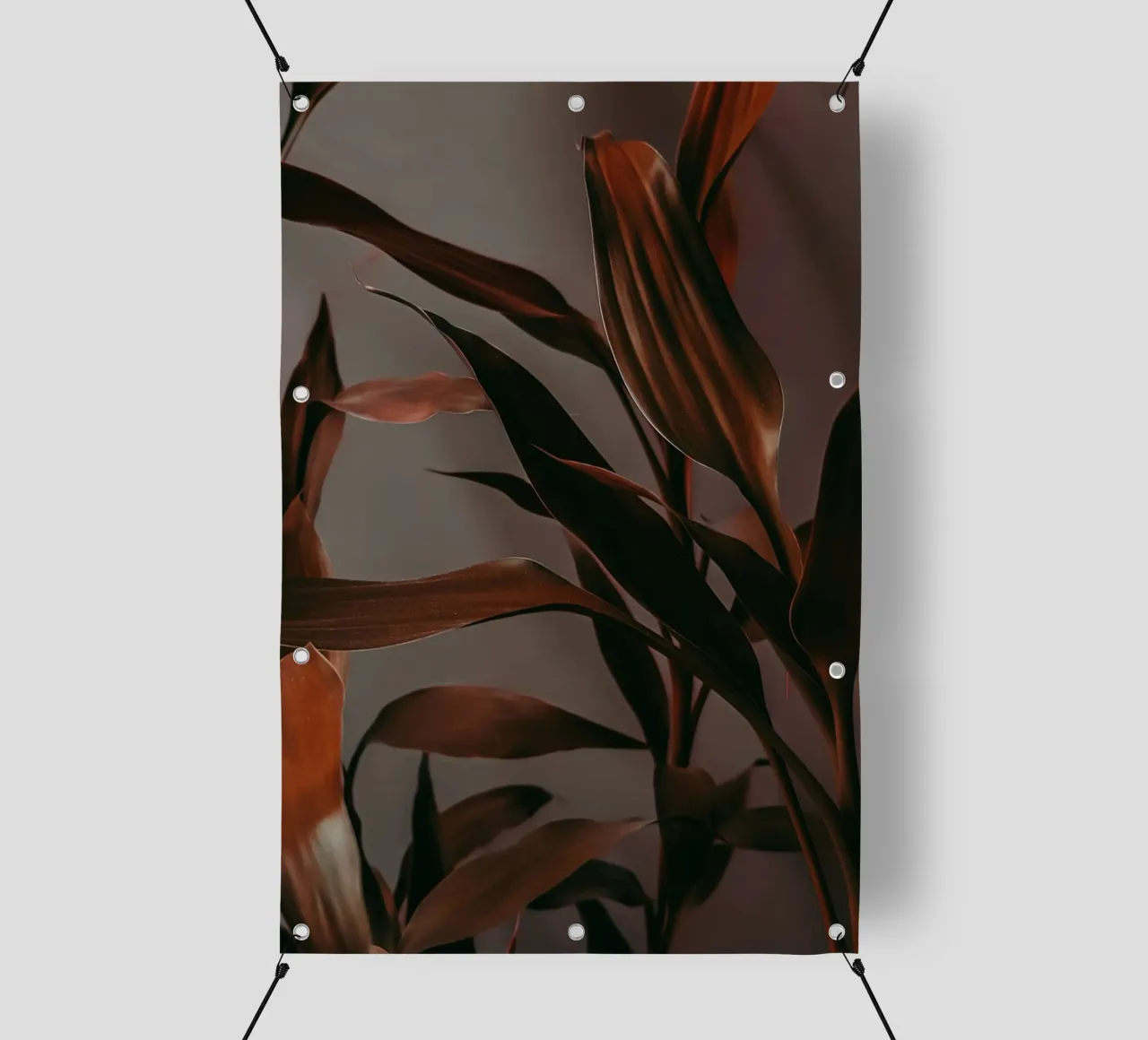 branch leaf in shadow telo in pvc da feny