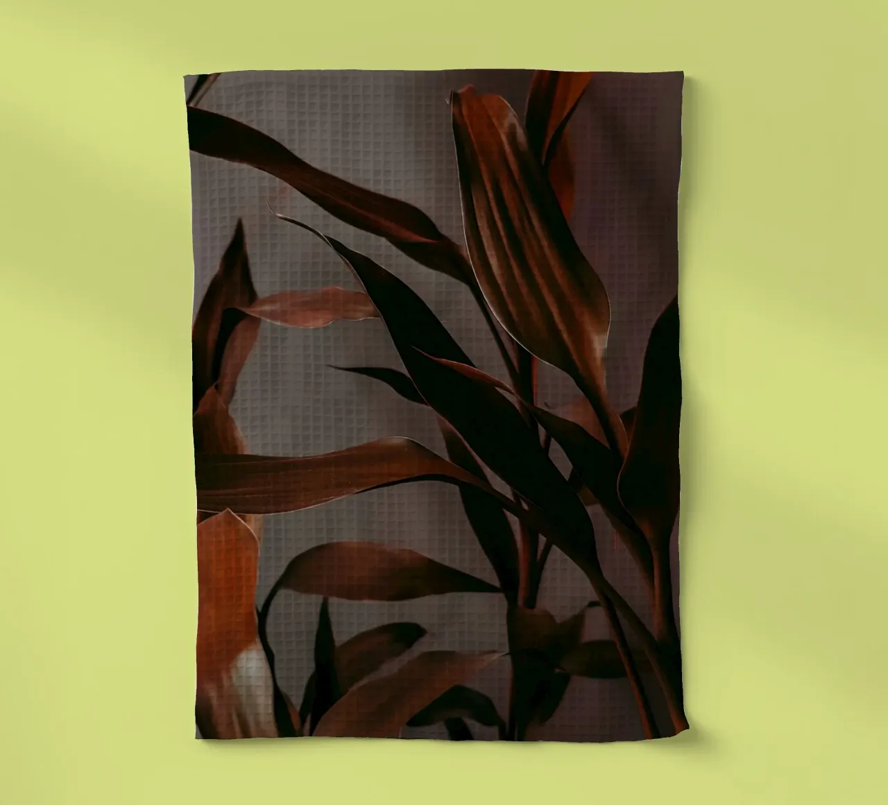 branch leaf in shadow canovaccio da cucina da feny