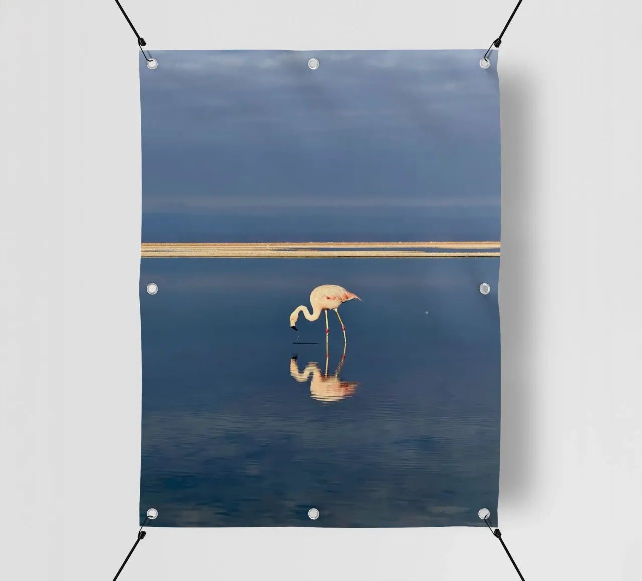 animal reflection telo in pvc da feny