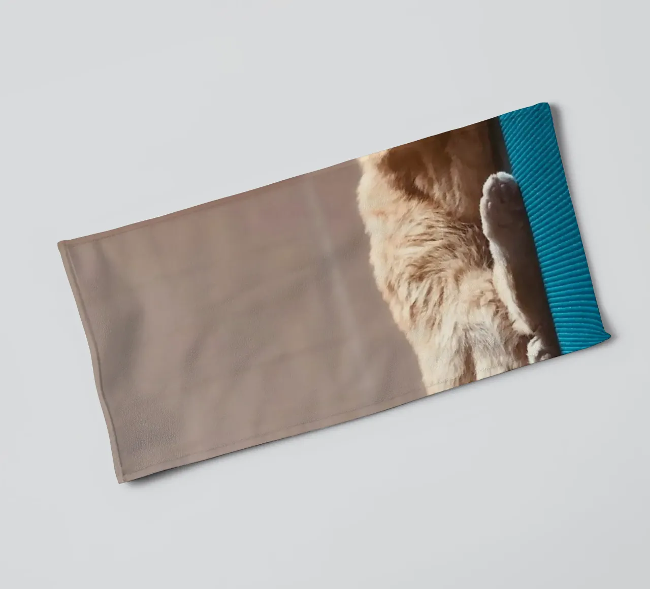 sleeping cat in the house asciugamano da bagno da feny