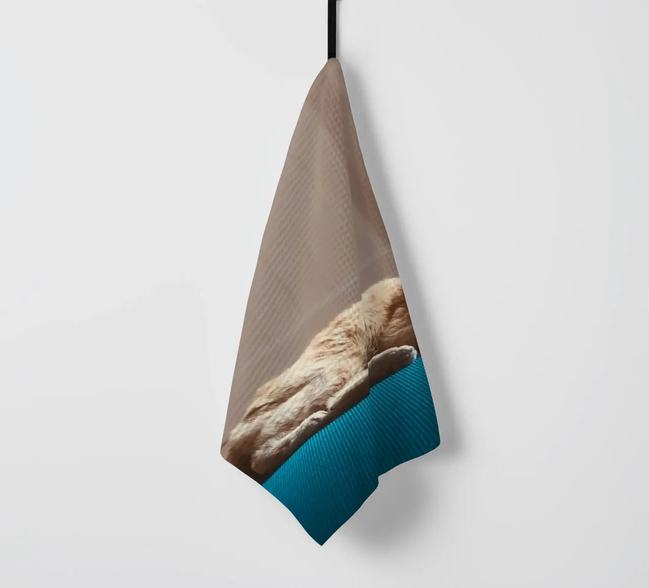 sleeping cat in the house Geschirrtuch von feny