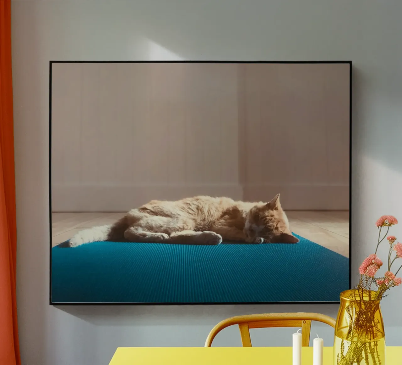 sleeping cat in the house plexiglass da feny