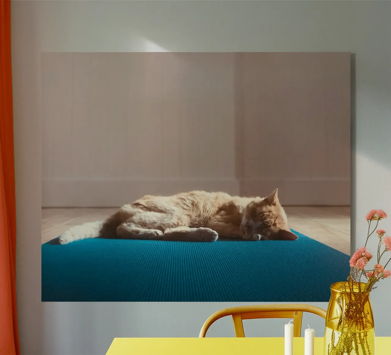 sleeping cat in the house plexiglass da feny