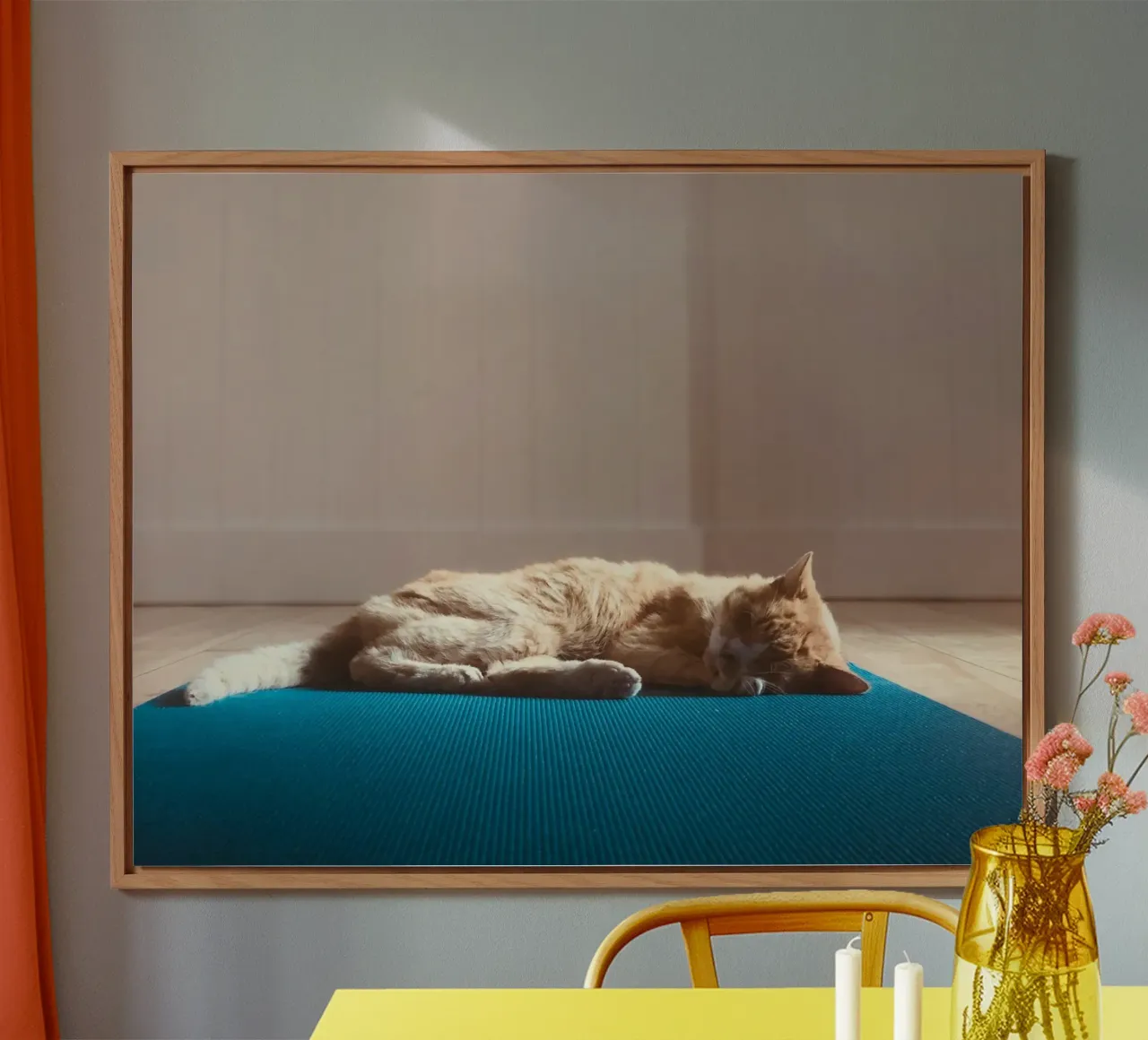 sleeping cat in the house alluminio dibond da feny
