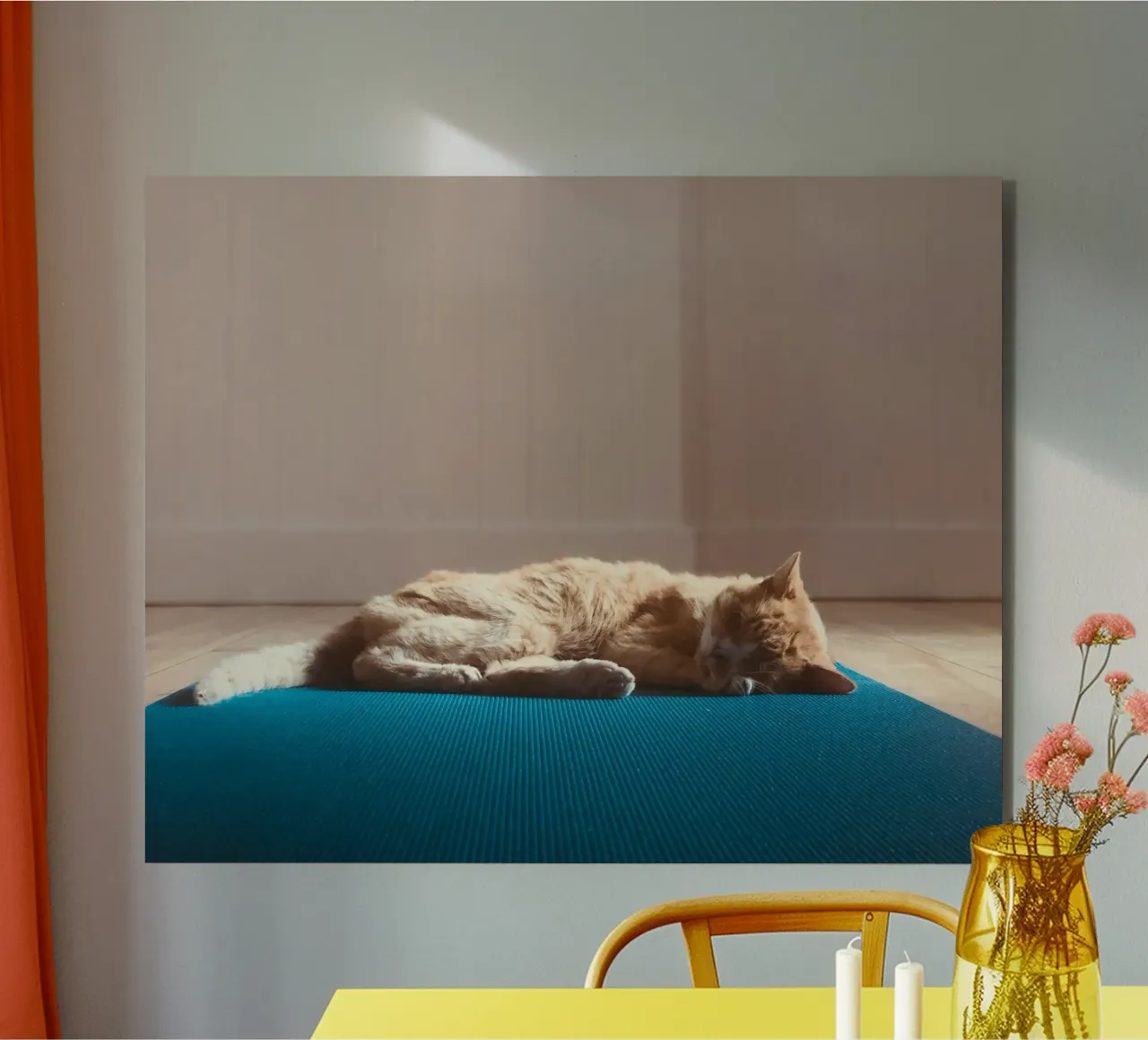 sleeping cat in the house alluminio dibond da feny