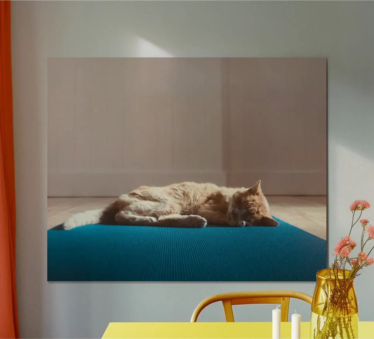 sleeping cat in the house carta hahnemühle da feny