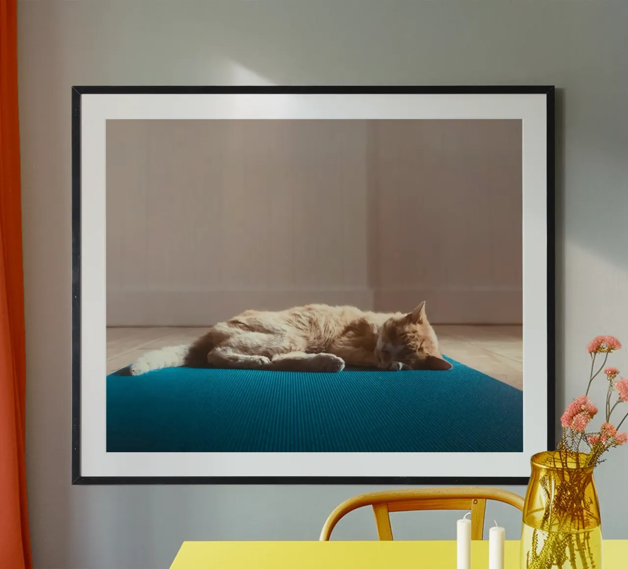 sleeping cat in the house carta hahnemühle da feny