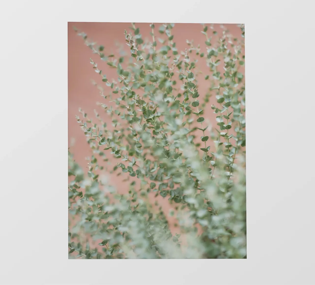 leaf branch on wall telo in pvc da feny