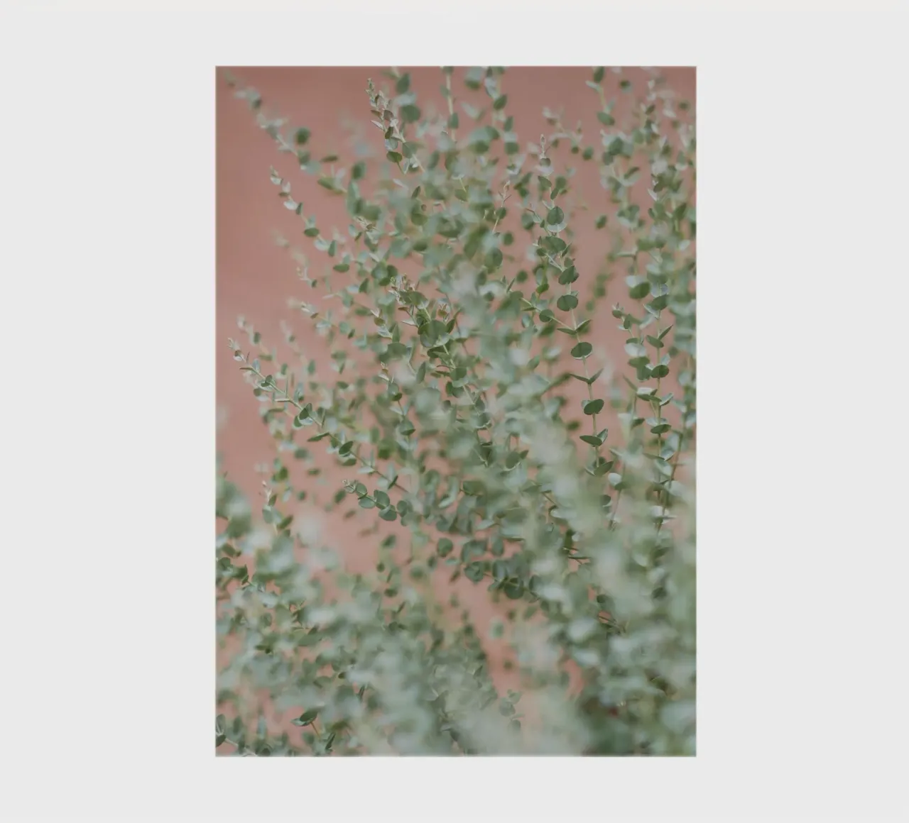 leaf branch on wall notebook by feny