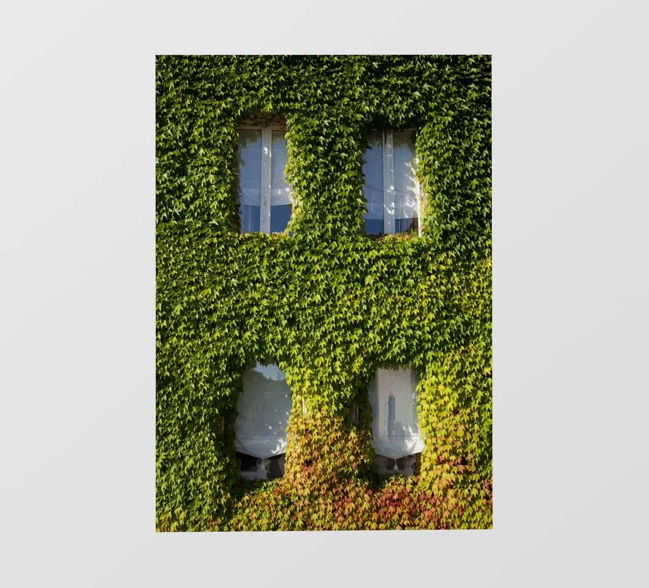 wall covered with branch telo in pvc da feny