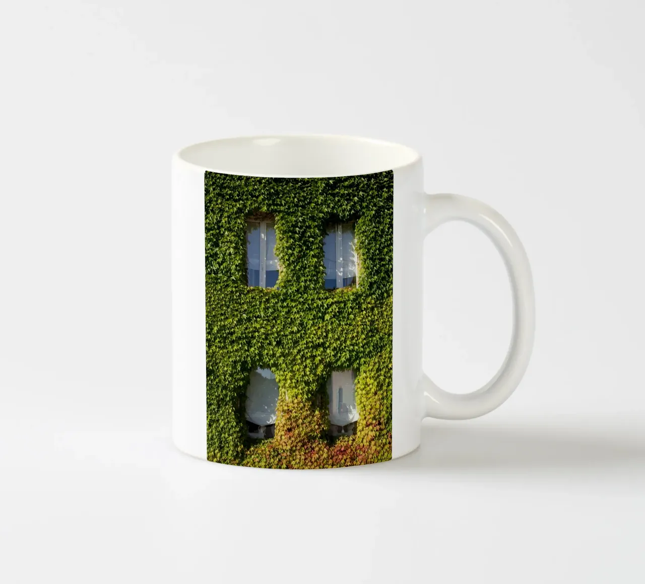 wall covered with branch tazza in ceramica da feny