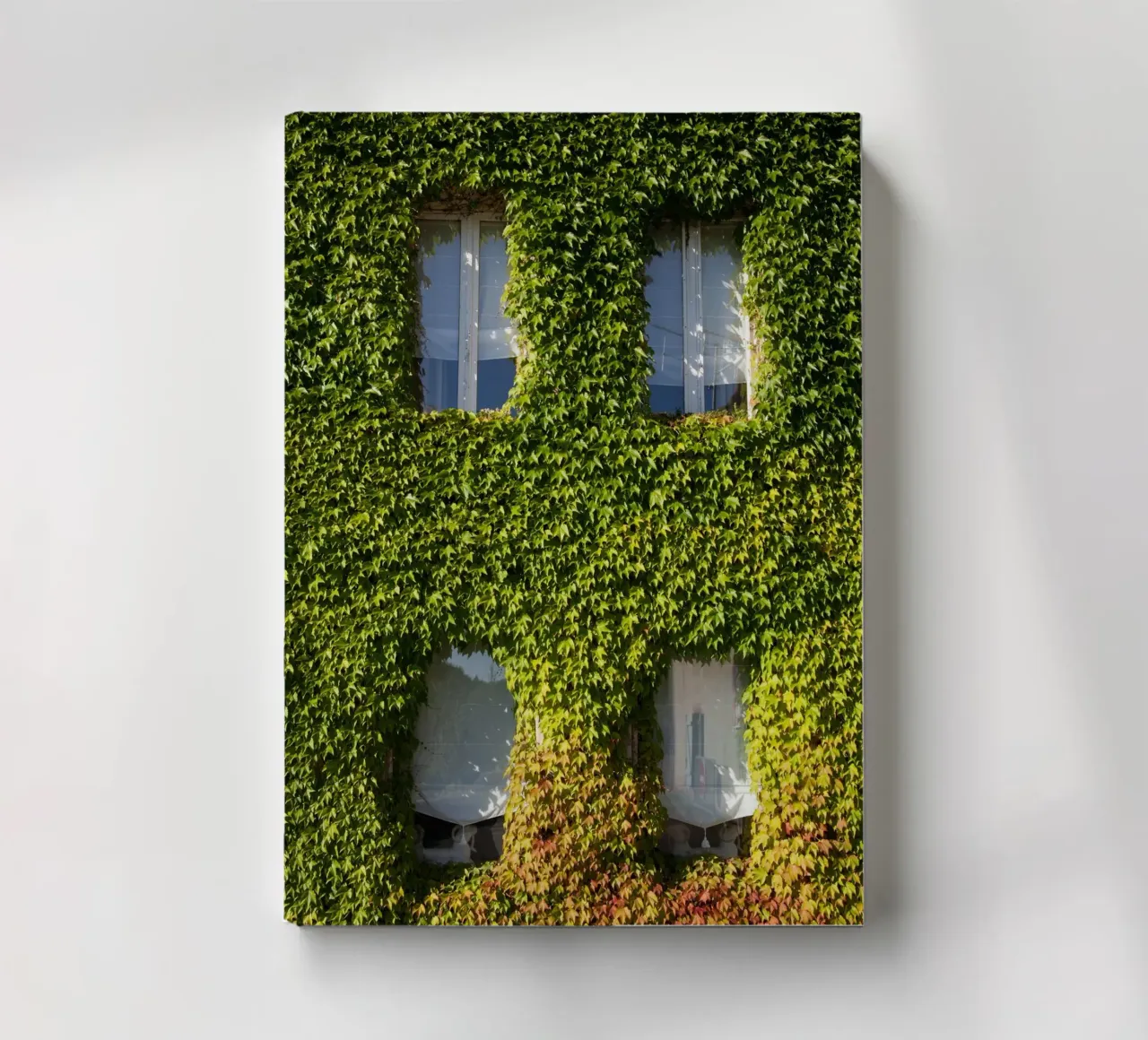 wall covered with branch notebook by feny