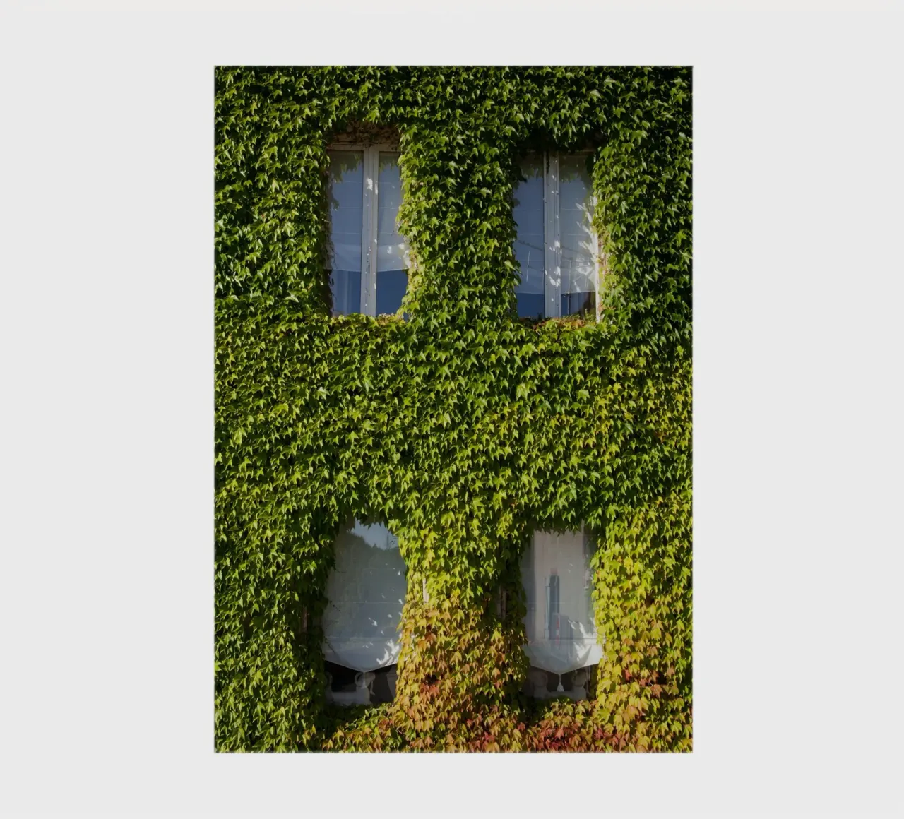 wall covered with branch notebook by feny