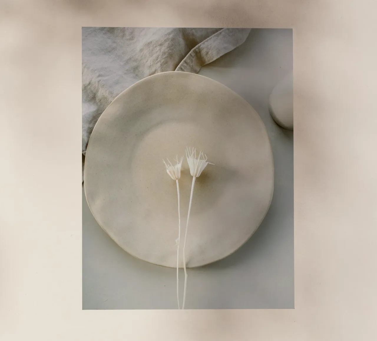 flower on plate pellicola backlit da feny