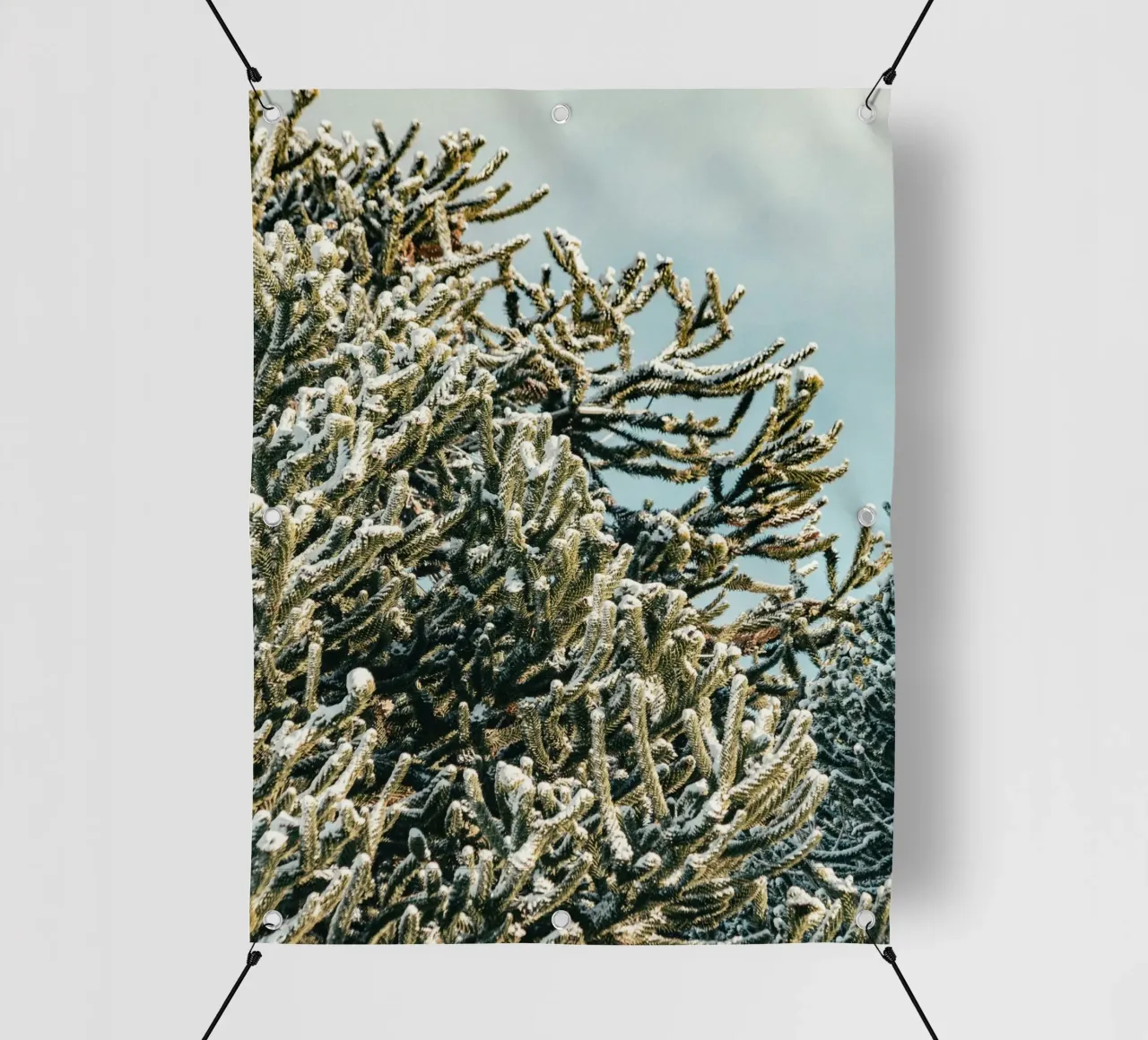 branch leaf telo in pvc da feny
