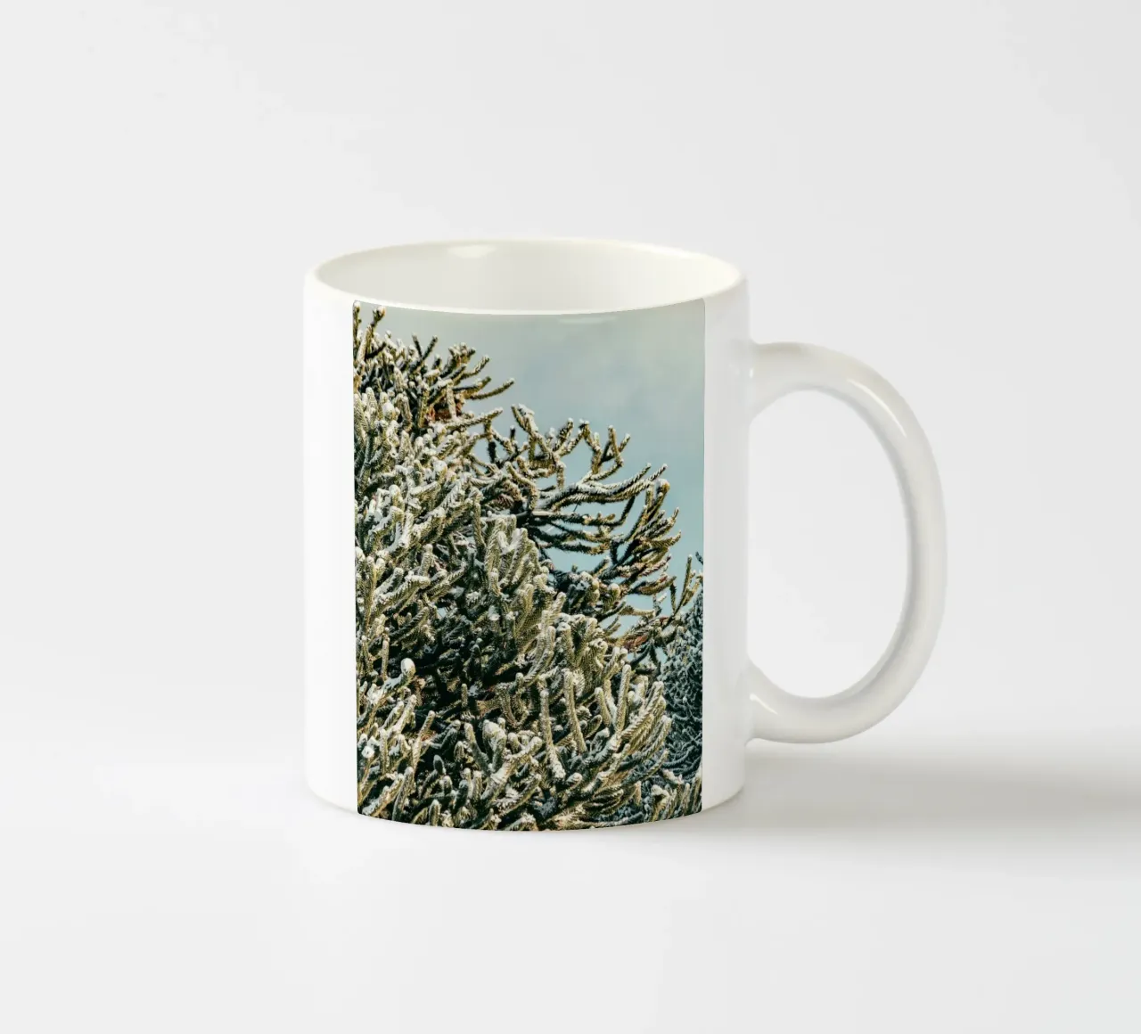 branch leaf tazza in ceramica da feny