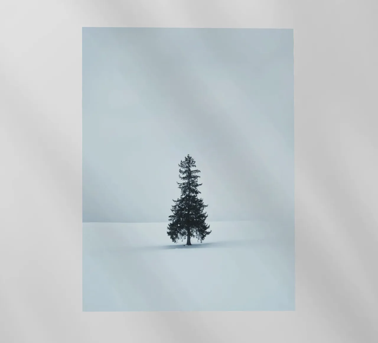 pine tree on snow pellicola backlit da feny
