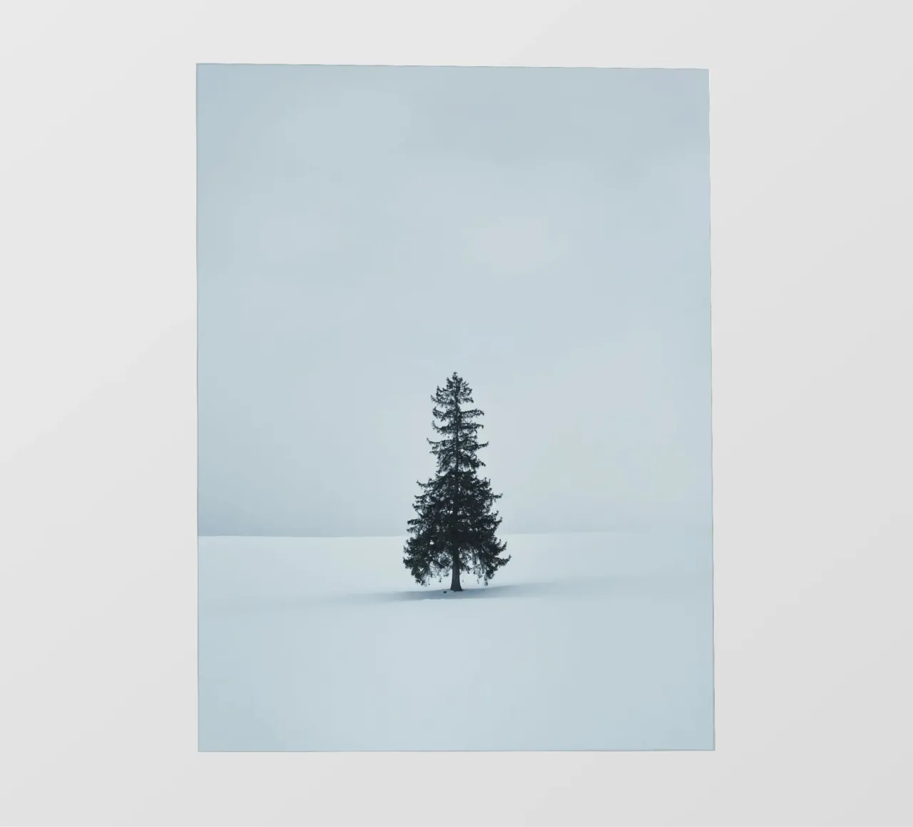 pine tree on snow pellicola backlit da feny