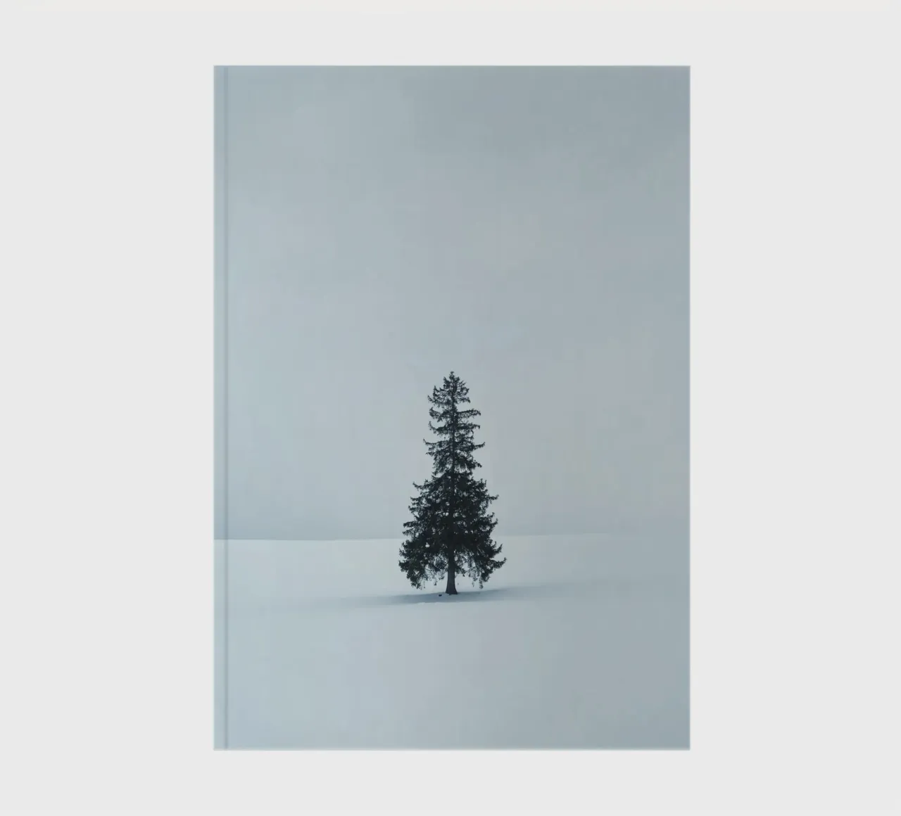pine tree on snow diario da feny