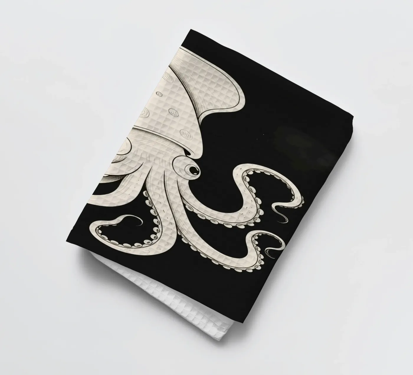 Squid torchon de knowledge