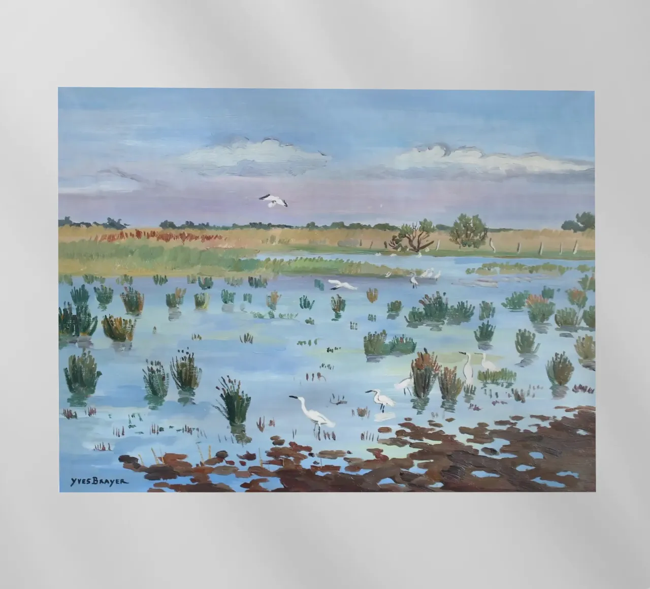 Primavera in Camargue pellicola backlit da Peteriespinoza Studio