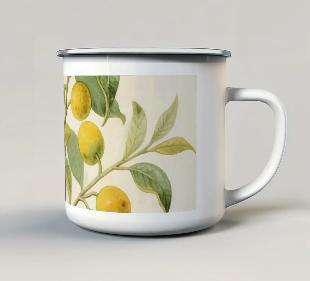 Impianto Erbis tazza in smalto da knowledge