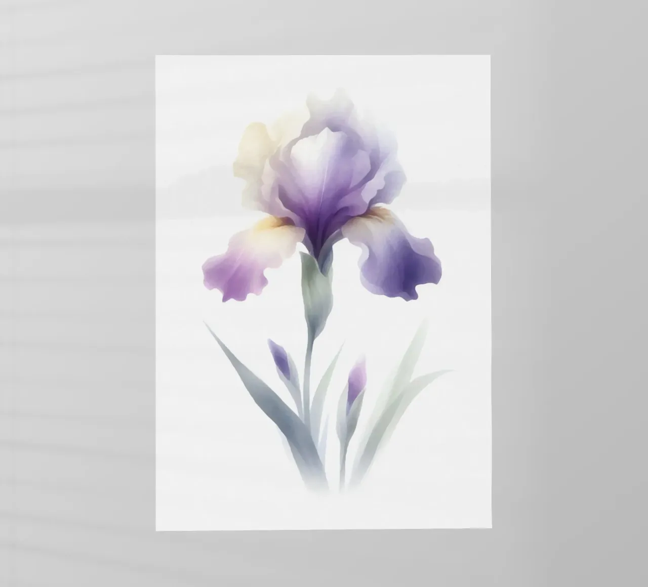 Illustrazione acquerello minimalista di un fiore di iris pellicola backlit da Bloom And Brush
