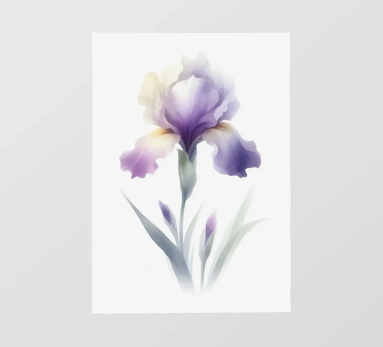 Illustrazione acquerello minimalista di un fiore di iris pellicola backlit da Bloom And Brush