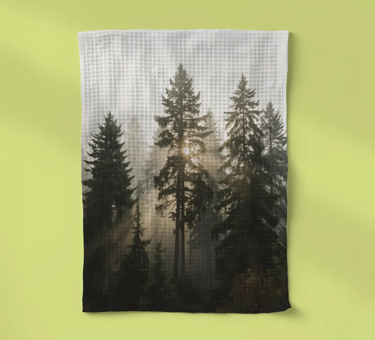 Rayons de soleil dans une forêt brumeuse à feuilles persistantes torchon de DesignDoodle