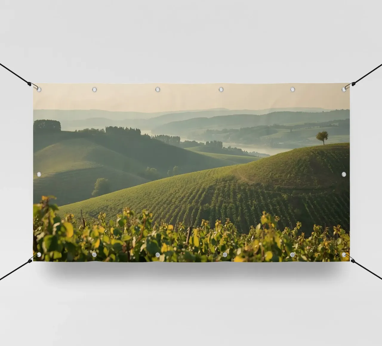 Colline del vigneto all'alba telo in pvc da DesignDoodle