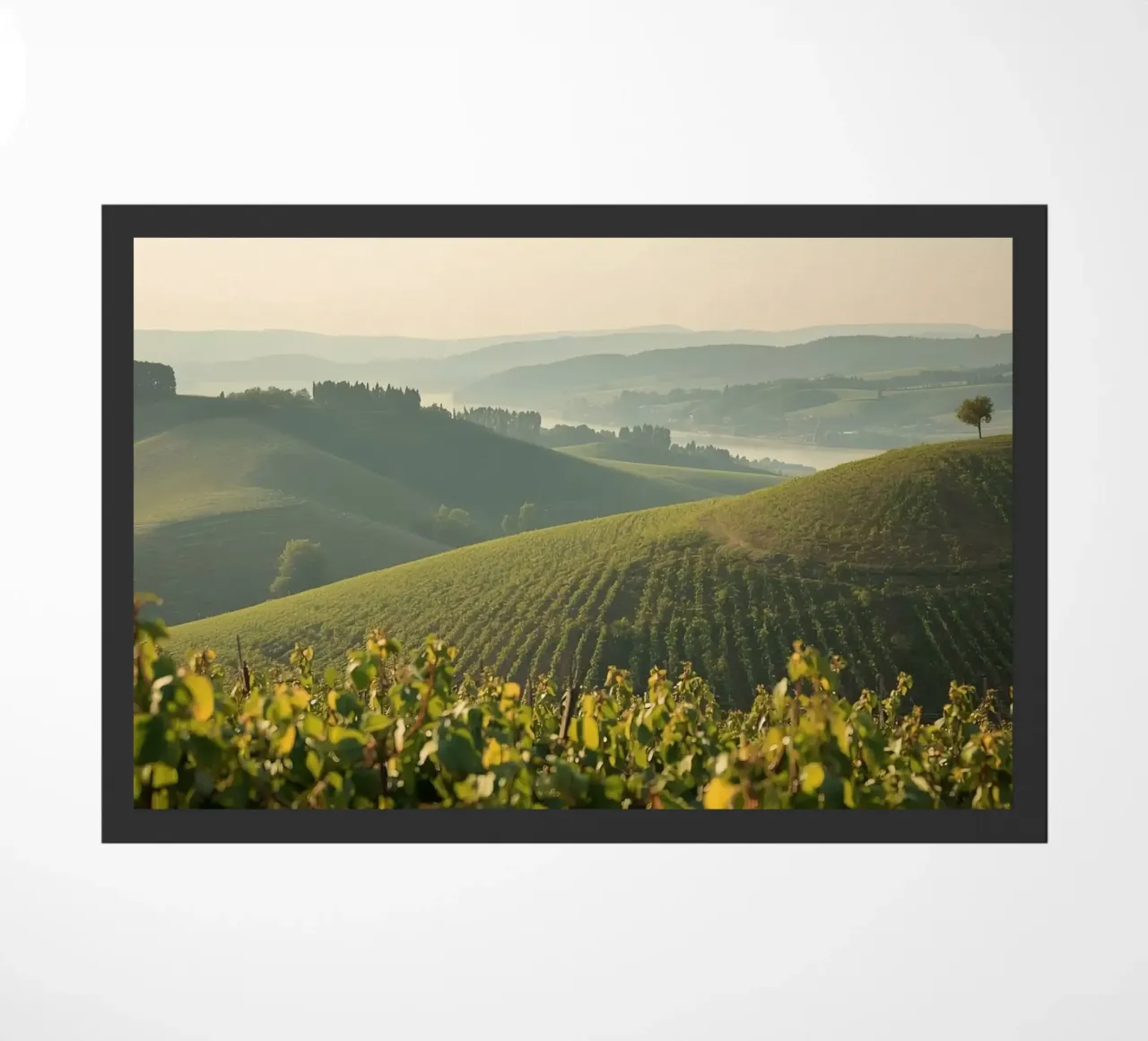 Colline del vigneto all'alba zerbino da DesignDoodle
