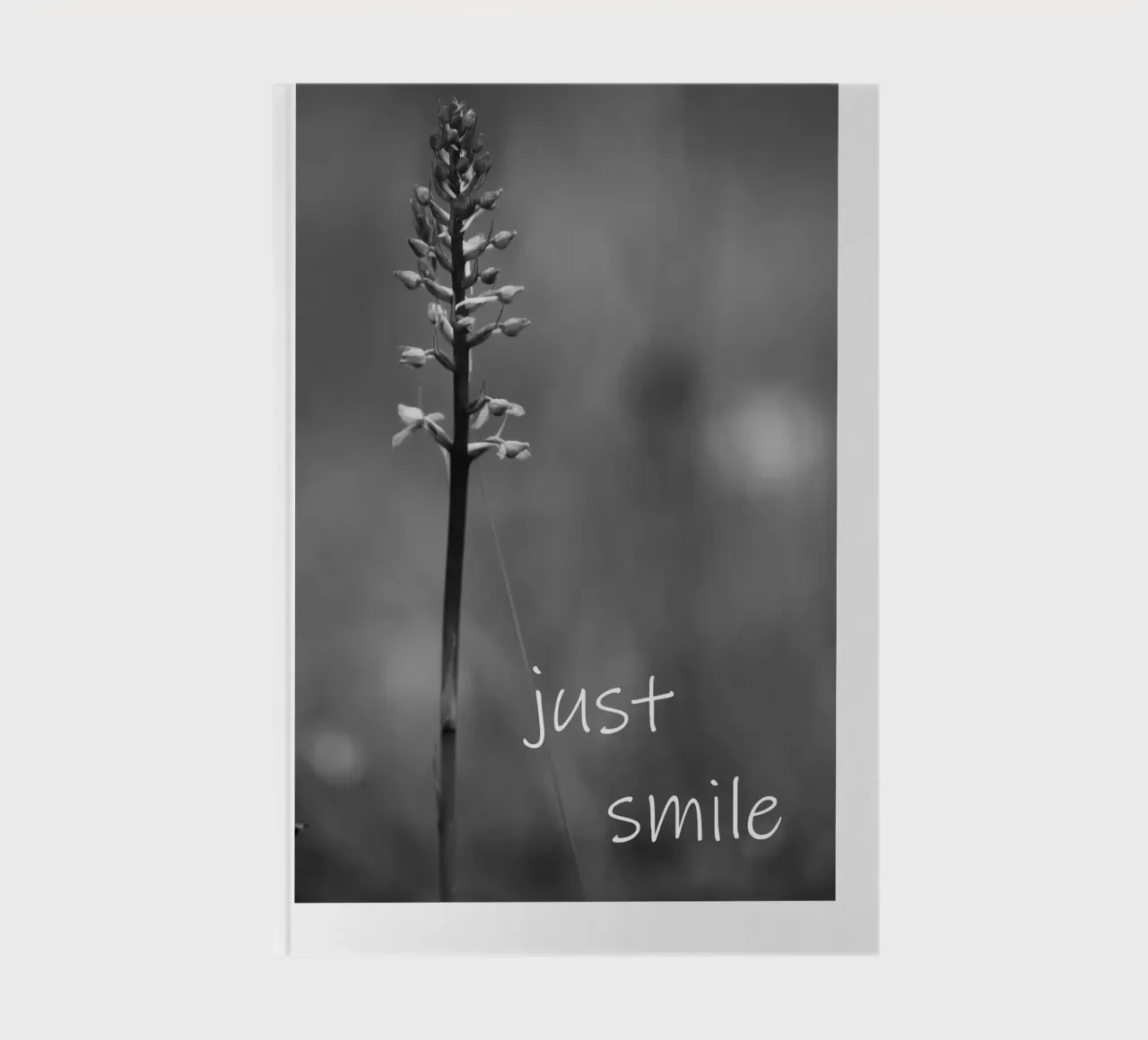 A meadow flower in black and white with a saying notebook by Something for you