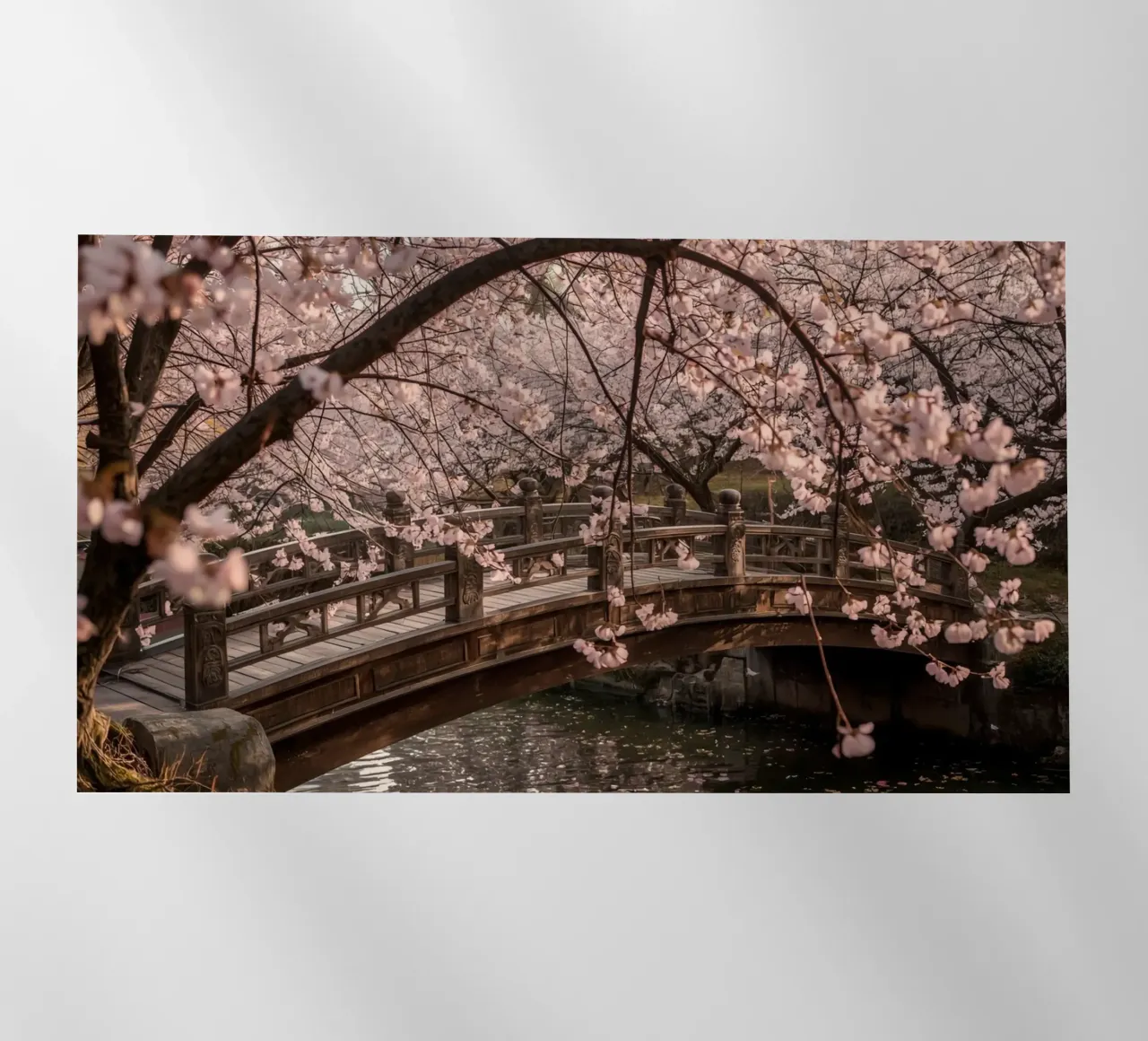 Ponte ad arco in legno con fiori di ciliegio in fiore pellicola backlit da DesignDoodle
