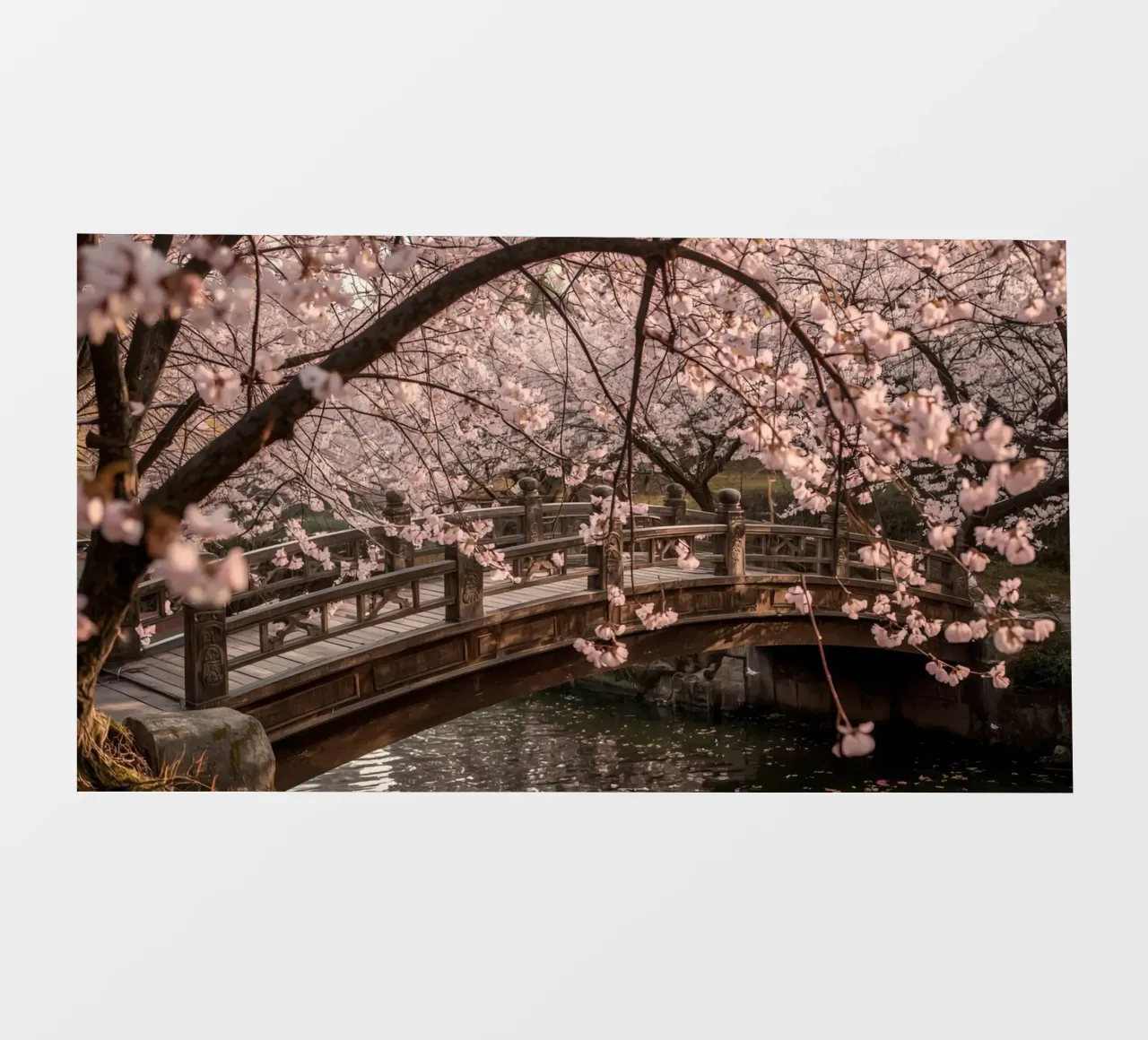 Ponte ad arco in legno con fiori di ciliegio in fiore telo in pvc da DesignDoodle