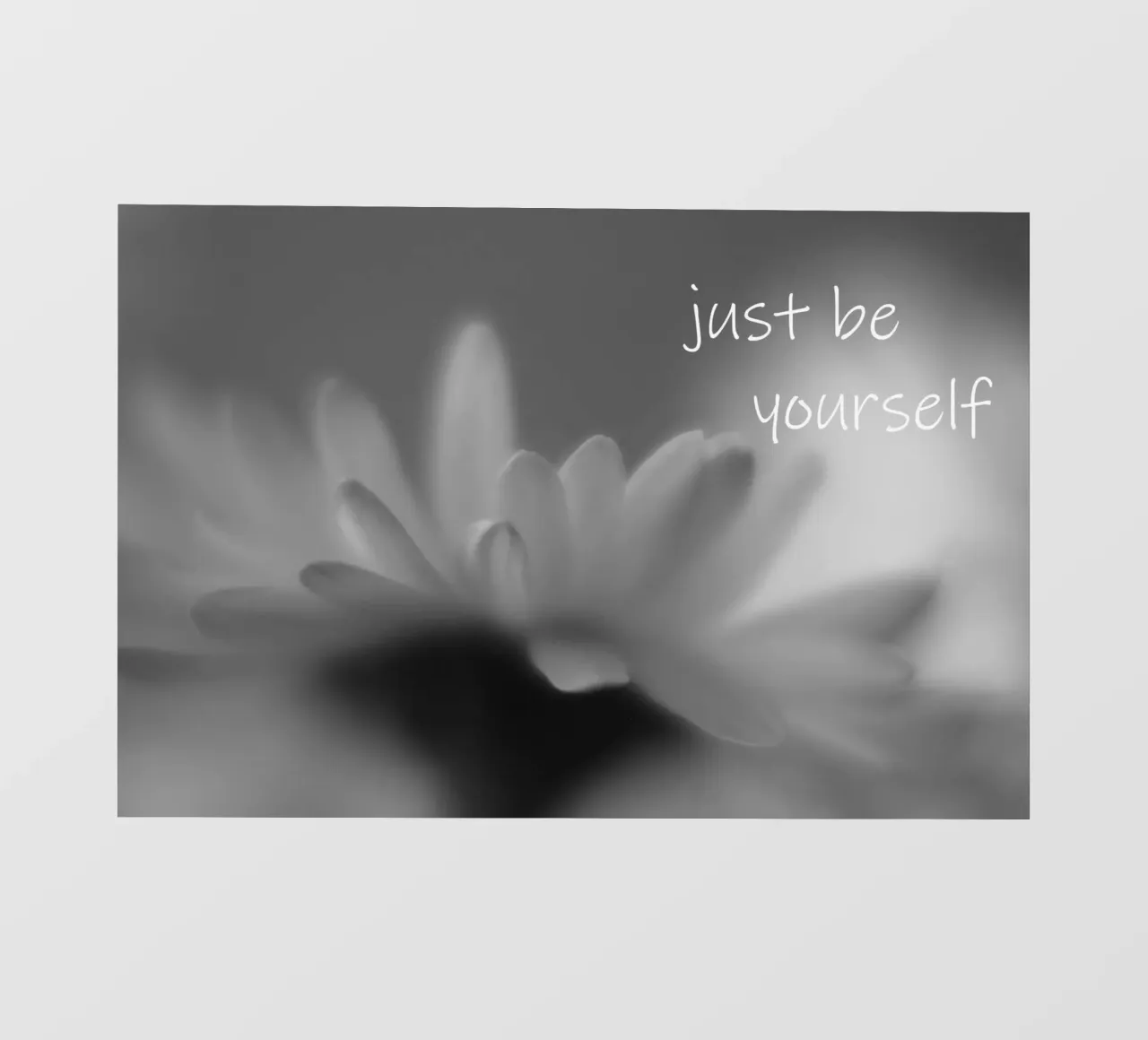 Un piccolo fiore in bianco e nero con la scritta telo in pvc da Something for you
