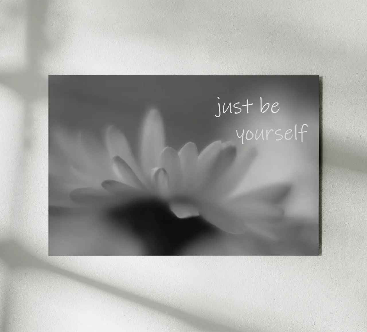 Un piccolo fiore in bianco e nero con la scritta alluminio dibond da Something for you