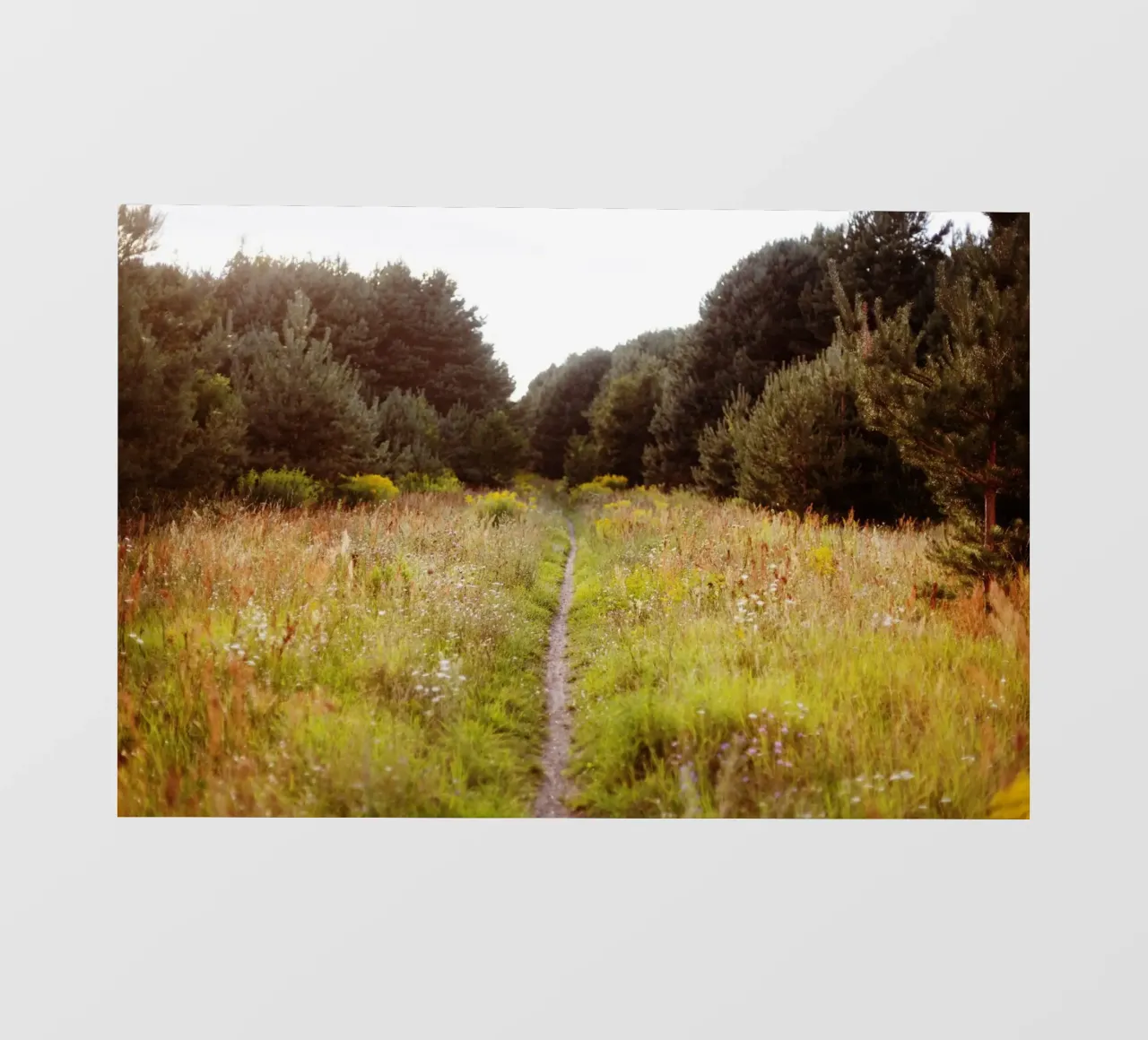 wandern in Brandenburg telo in pvc da Simon Koy