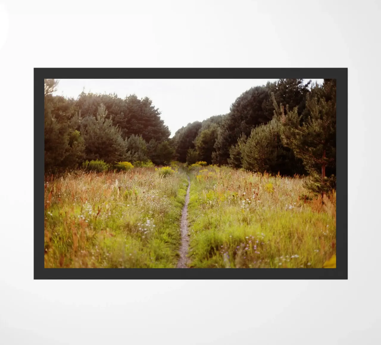 wandern in Brandenburg zerbino da Simon Koy