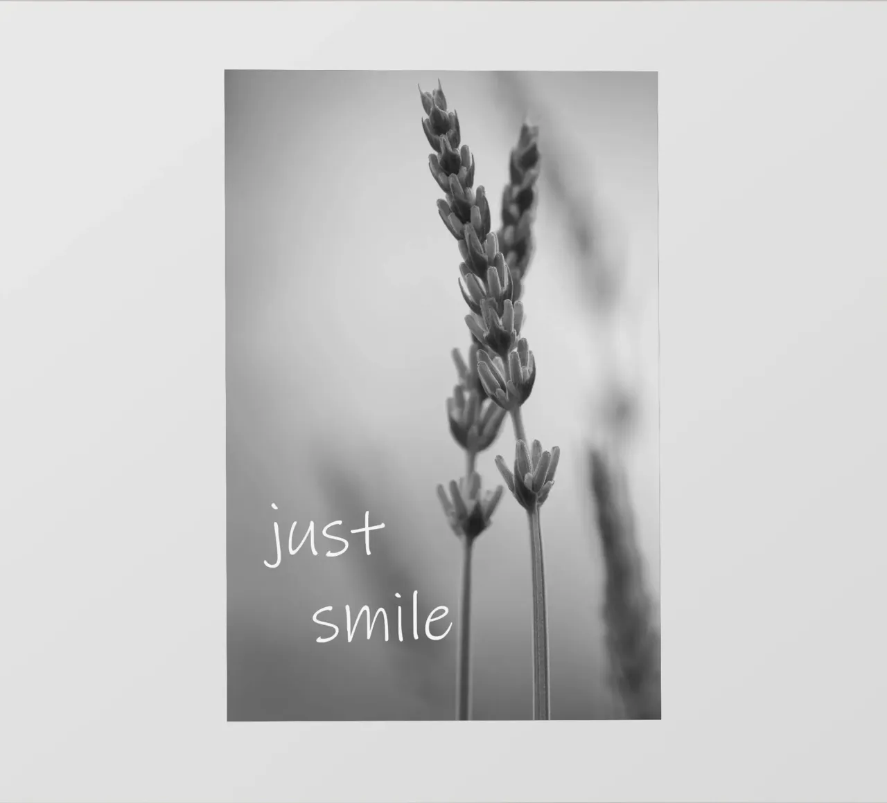 Fleurs des champs en noir et blanc avec un slogan papier peint photo de Something for you