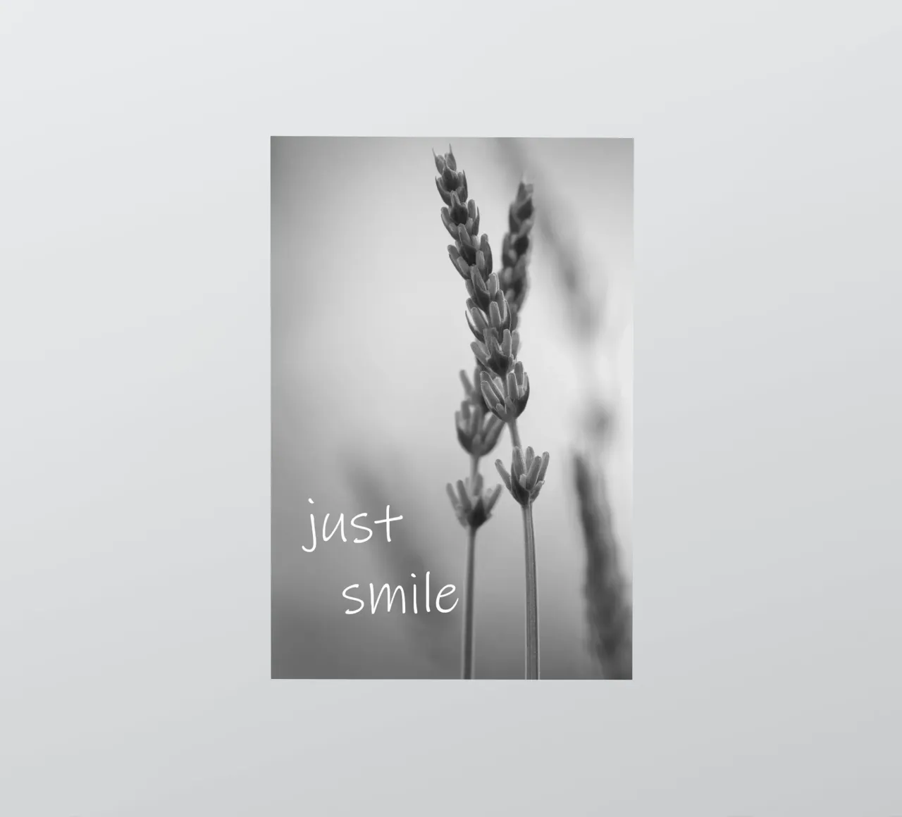 Flores de prado en blanco y negro con una frase pegatina de Something for you