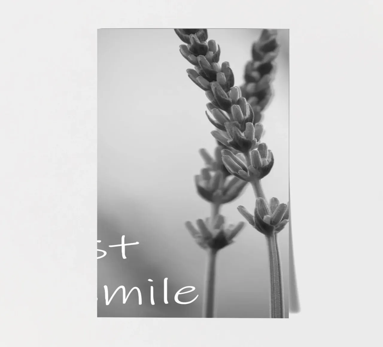 Fleurs des champs en noir et blanc avec un slogan planche autocollant de Something for you