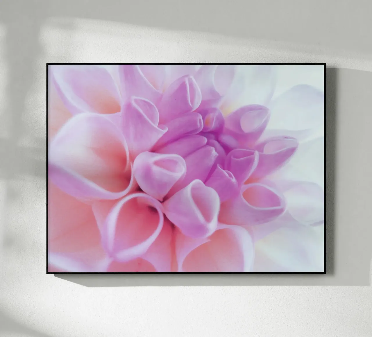 Flower plexiglass da Jonas Klein