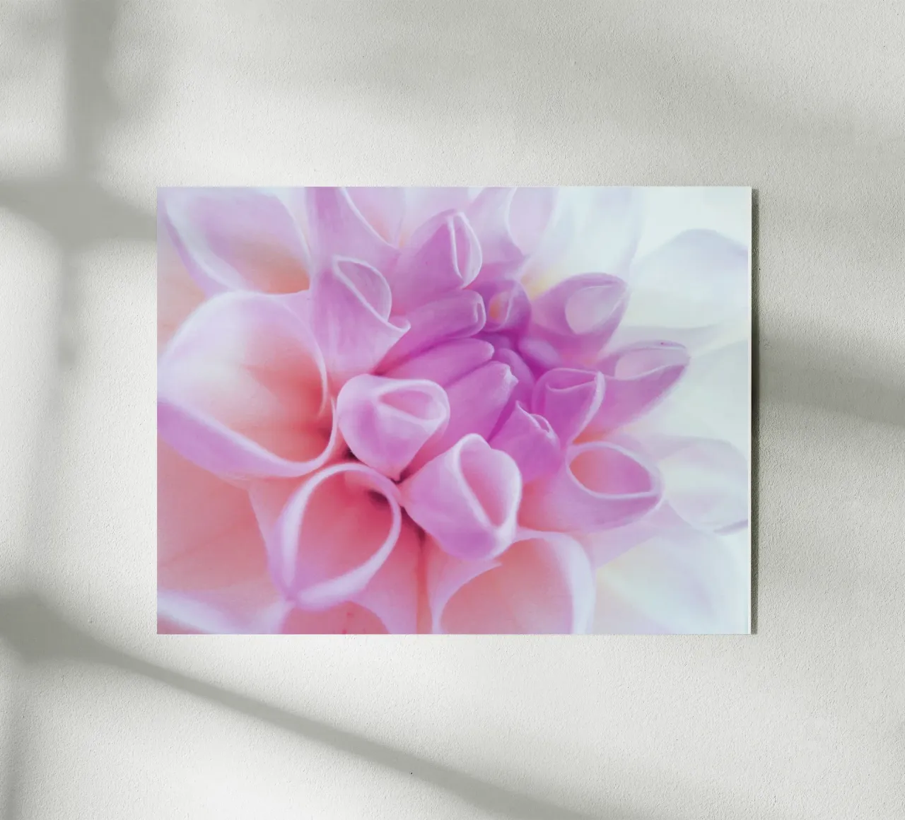 Flower plexiglass da Jonas Klein